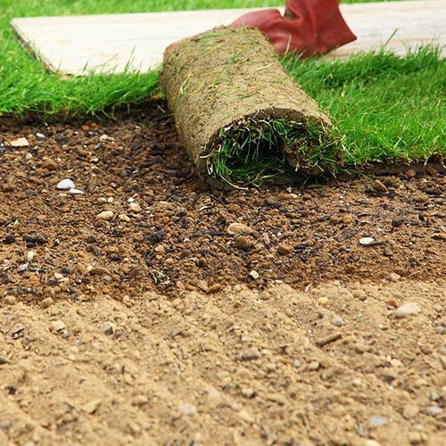 İstanbul Beylikdüzü Kavaklı Garip Çağla Fidanlığı çim toprağı