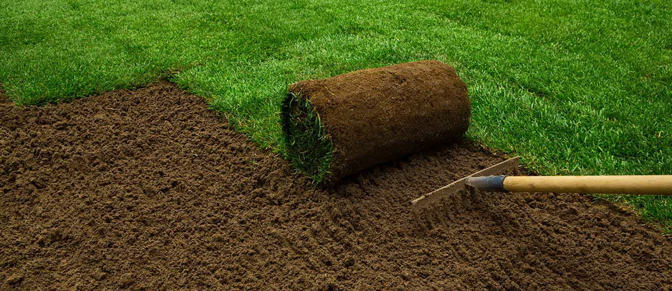 hazir-rulo-cim-garip-çağla-fidanlığı