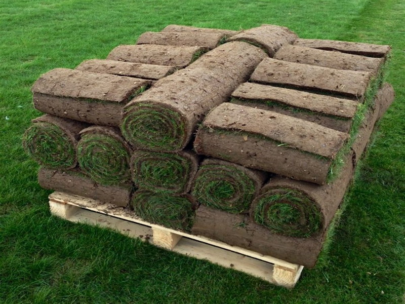 hazir-rulo-cim-garip-çağla-fidanlığı