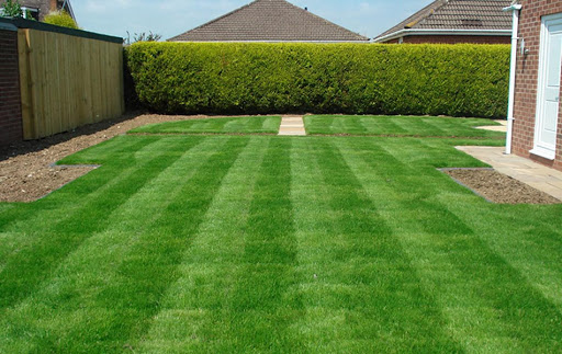 hazir-rulo-cim-garip-çağla-fidanlığı