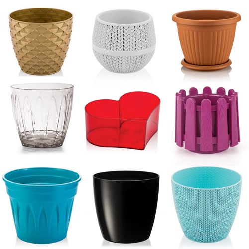 silivri saksı çeşitleri