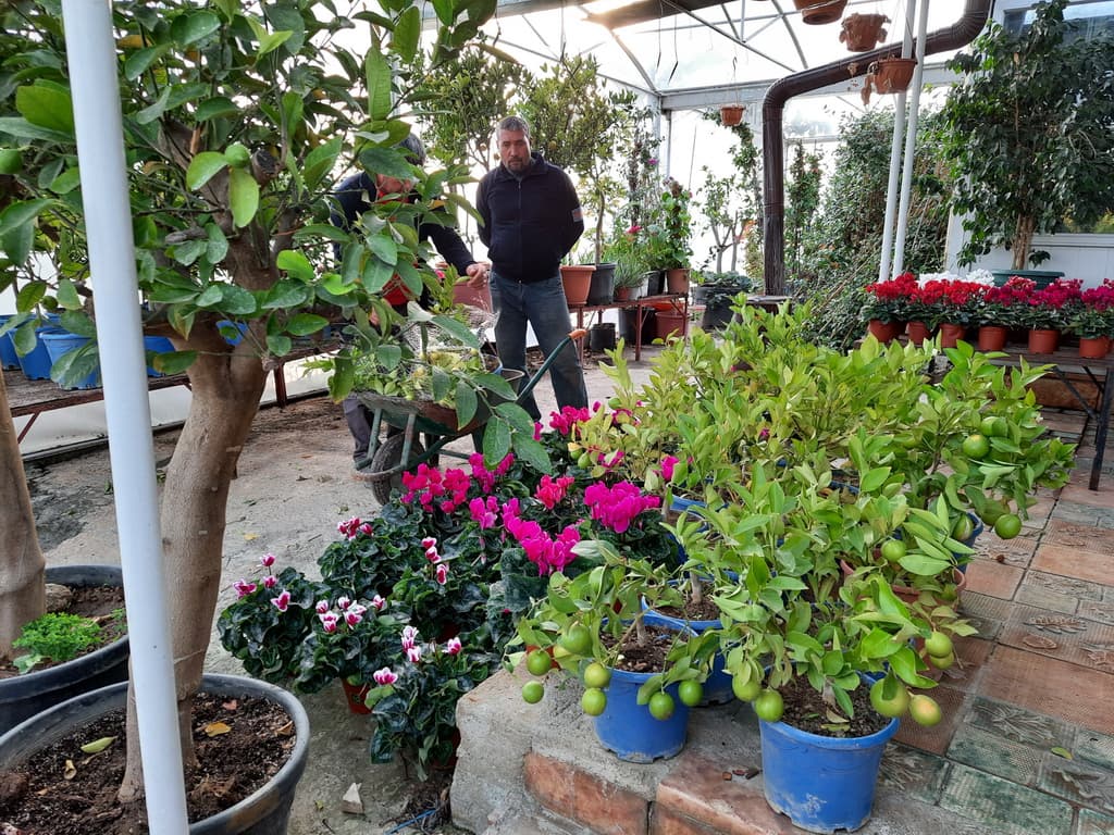 istanbul-fidanligi-07