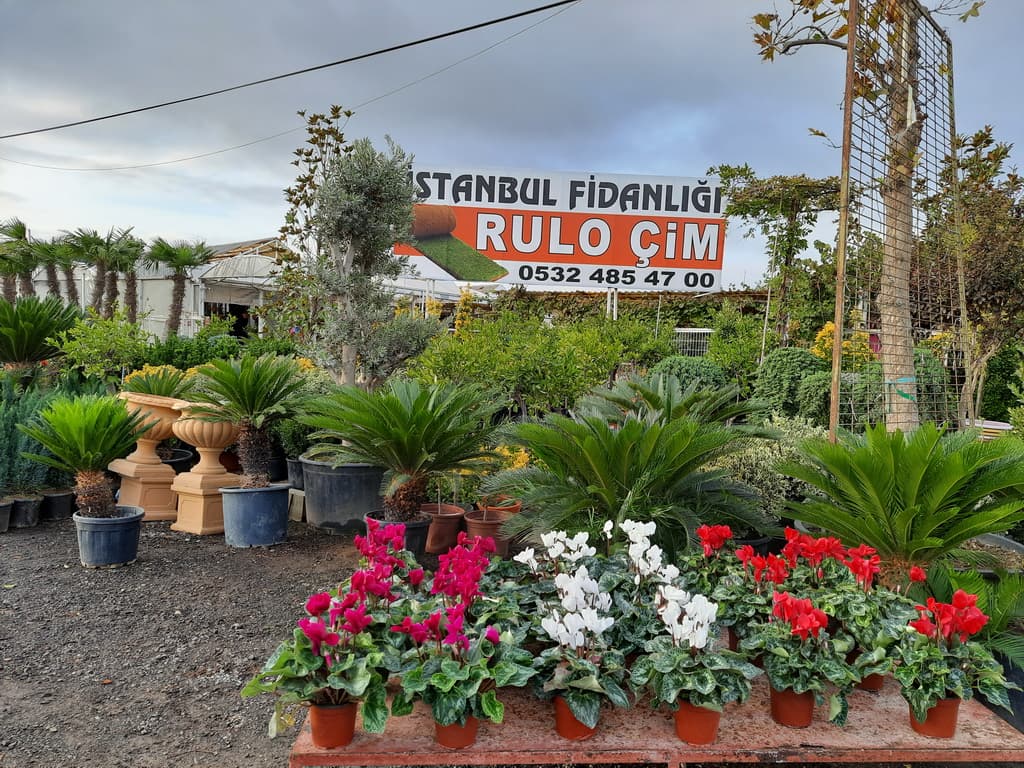 istanbul-fidanligi-14