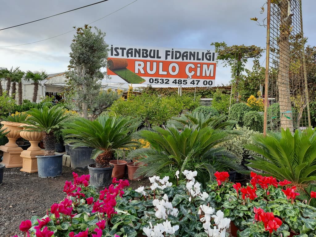 istanbul-fidanligi-15